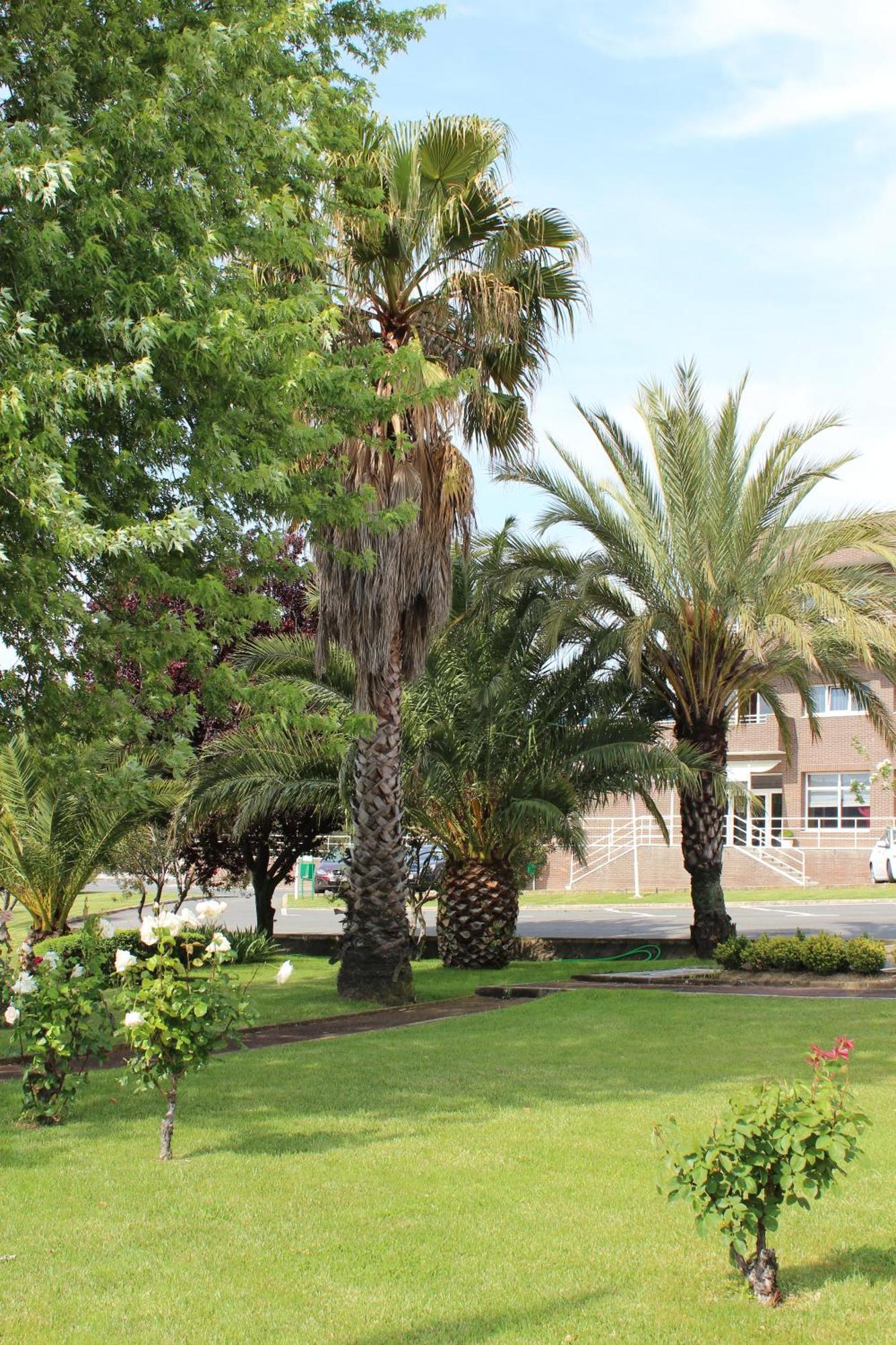Hotel Azar Plasencia Exterior foto